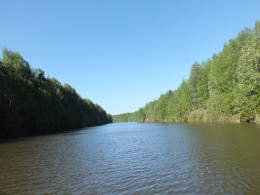 Топорнинский канал соединяет старое русло Шексны с Сиверским озером